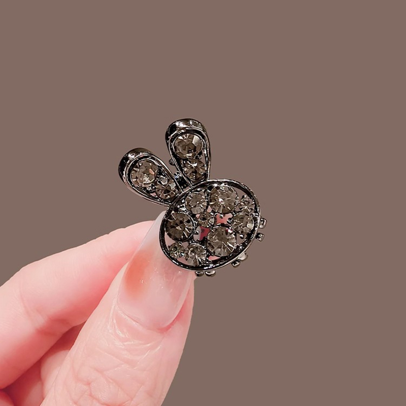 High-end-Strass Kaninchen Klei – Hi Tech Accessories Bewertung und Preis