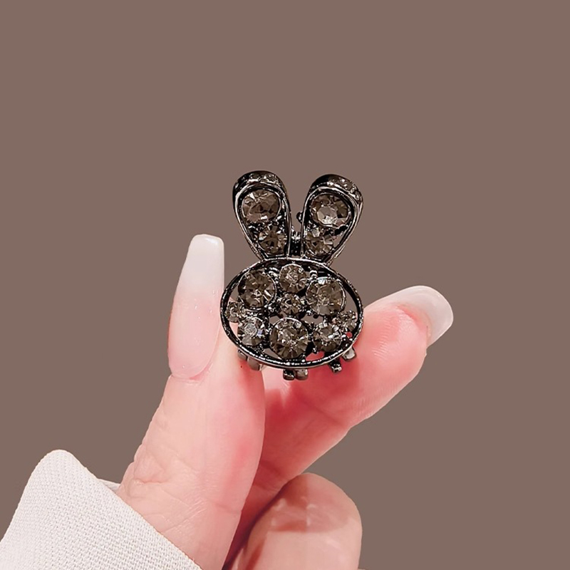 High-end-Strass Kaninchen Klei – Hi Tech Accessories Bewertung und Preis